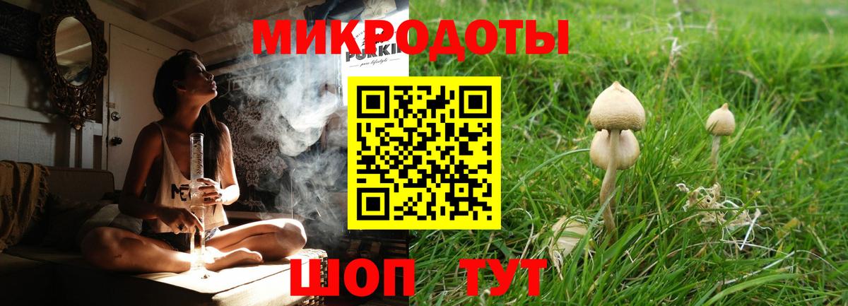 Псилоцибиновые грибы Cubensis Рубцовск