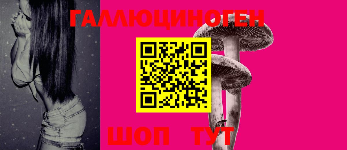 даркнет сайт  Галлюциногенные грибы Magic Shrooms  Вход с VPN  Галлюциногенные грибы Psilocybe  Рубцовск 